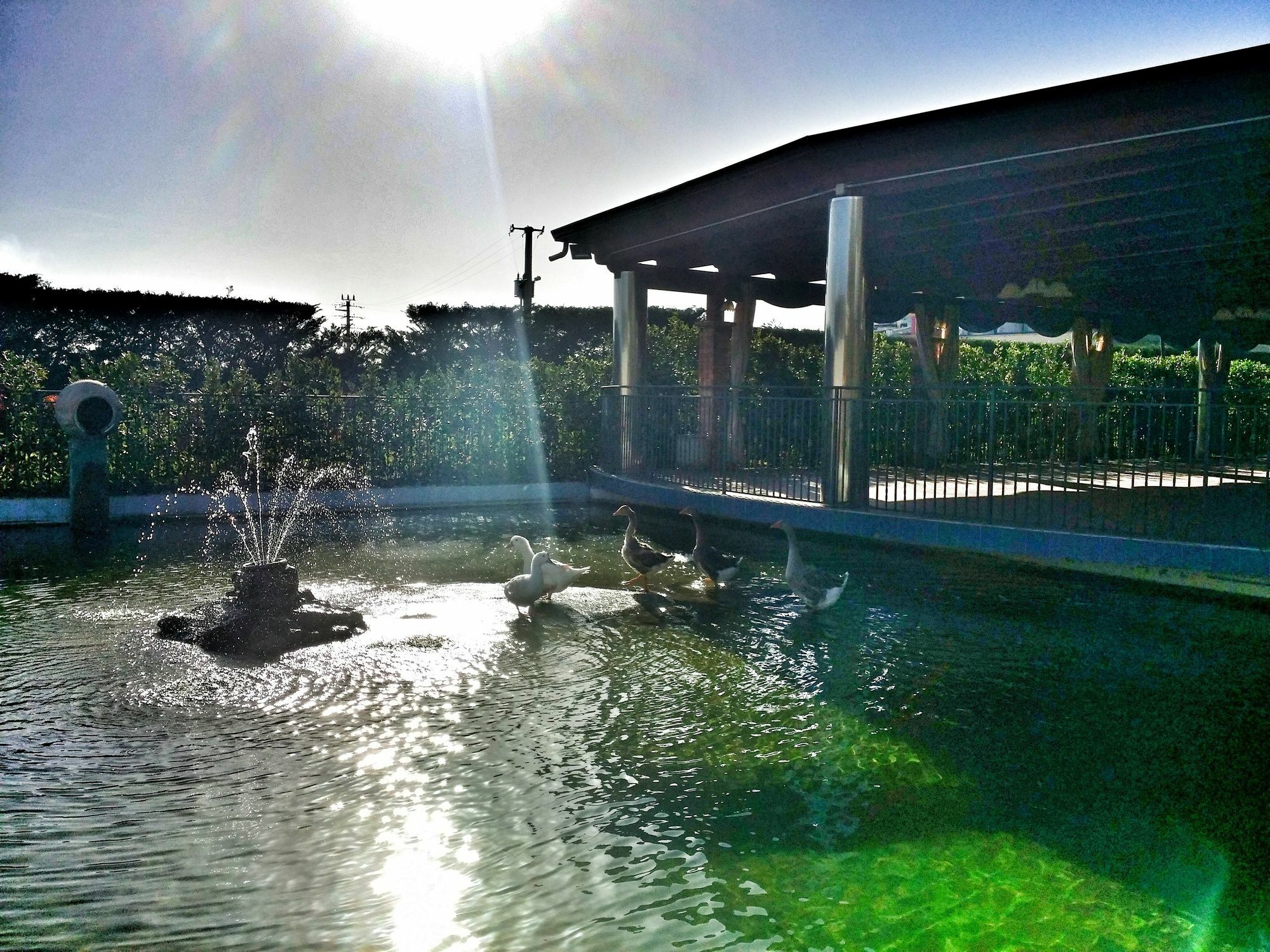 Hotel San Luca 4*